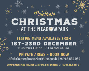 The Meadowpark Christmas Bridge of Allan Stirling Festive Night Out Book Online